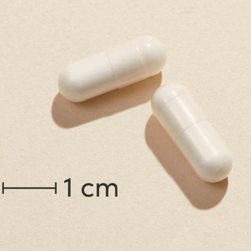 Miniaturebillede 2
