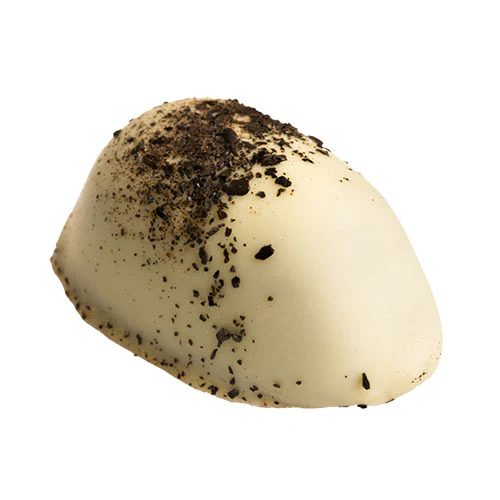 Miniaturebillede 1